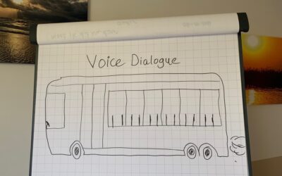 Voice Dialogue